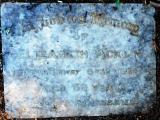 image of grave number 594120